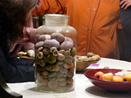 06_pahlow_igelglas_010_k